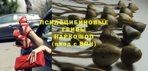 соль курить ск Алексеевка