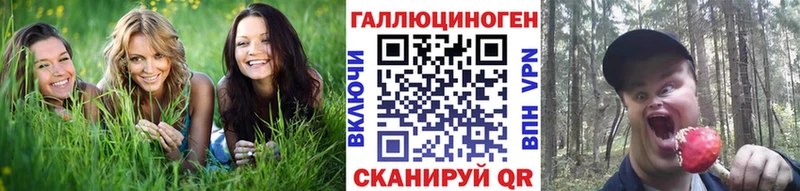 Галлюциногенные грибы Psilocybine cubensis Обнинск